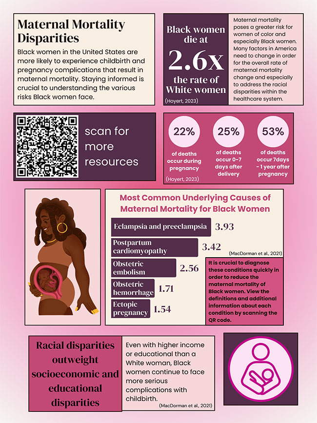 Maternal Mortality Disparities in the U.S. | Global Health Education ...