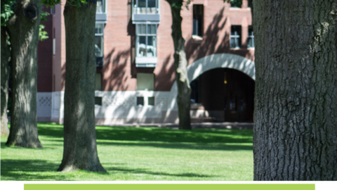 Harvard Yard.