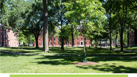 Brick building in the distance in Harvard Yard.