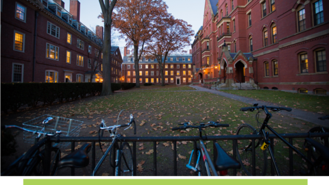 Brick buildings in Harvard Yard.