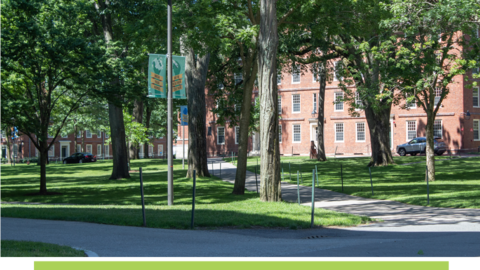 Harvard Yard.