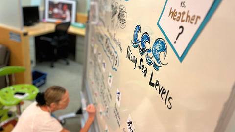Sue J Goldie drawing on the whiteboard.