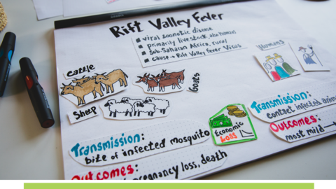 Rift Valley Fever drawing showing transmission and outcomes of cattle, sheep, goats, and humans.