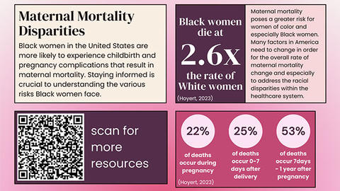 Infographic - Maternal mortality disparities