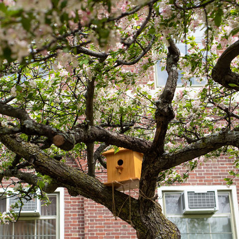A birdhouse in a tree.