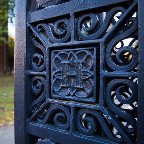 Close-up iron gate door.