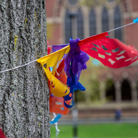 Colorful flags tied around a tree.