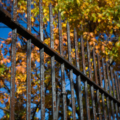 Iron gate with leaves in the background.