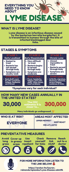 Infographic on lyme disease.