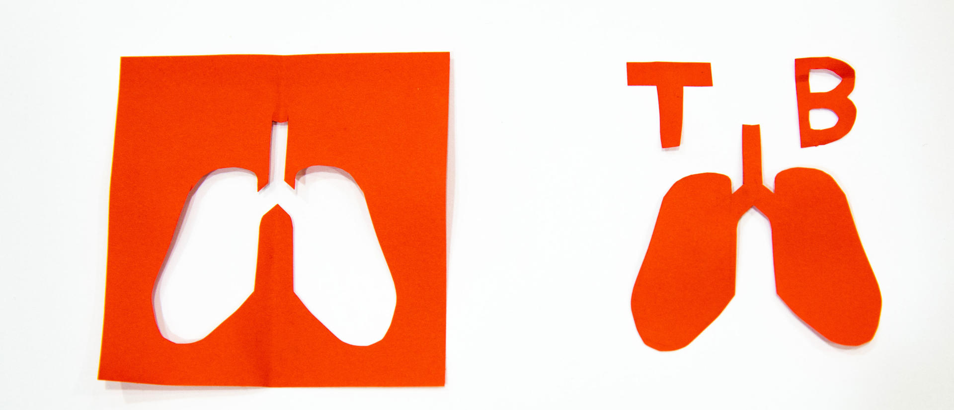 Red paper cutouts of lungs next to the letters TB.